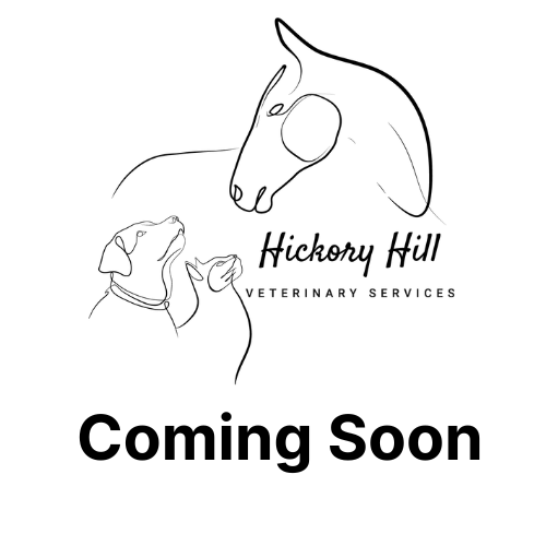 coming soon logo placeholder